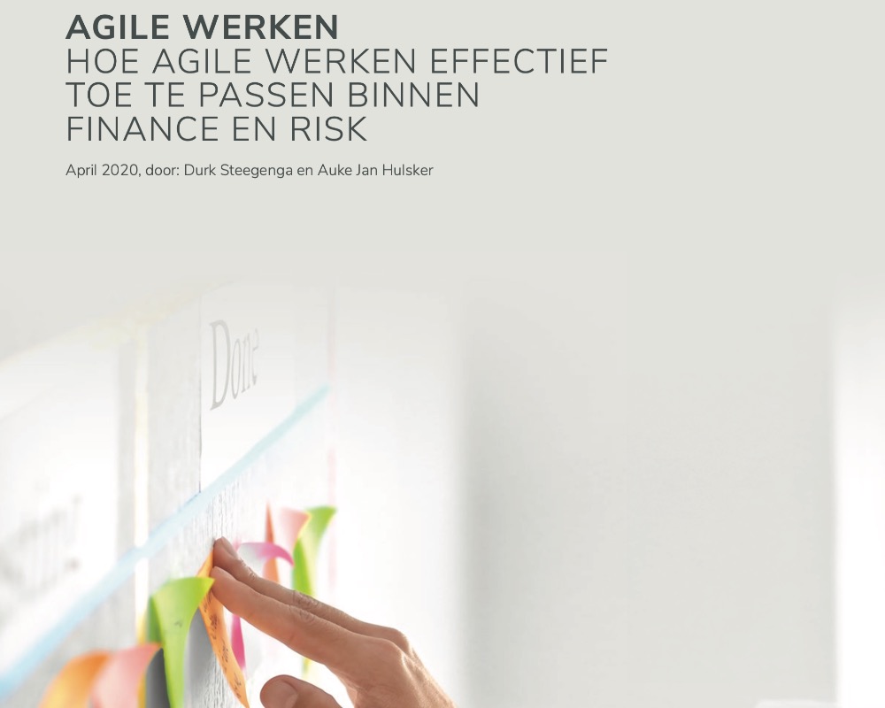 An agile approach within Finance and Risk